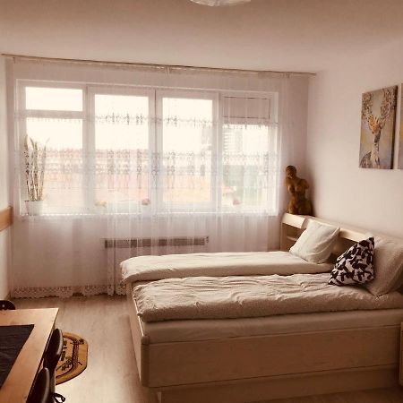 Studio 1o1o1 Apartamento Piatra Neamţ Exterior foto